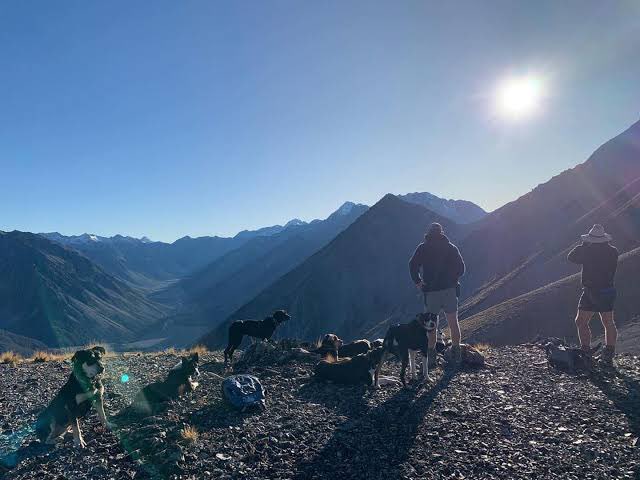 Michael caldwell tweet media