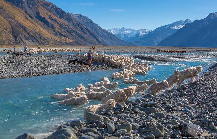 Michael caldwell tweet media