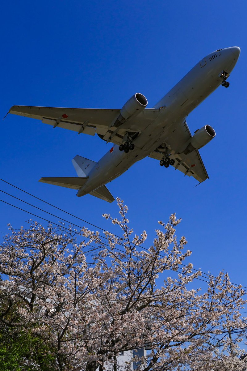 しまかぜ tweet media