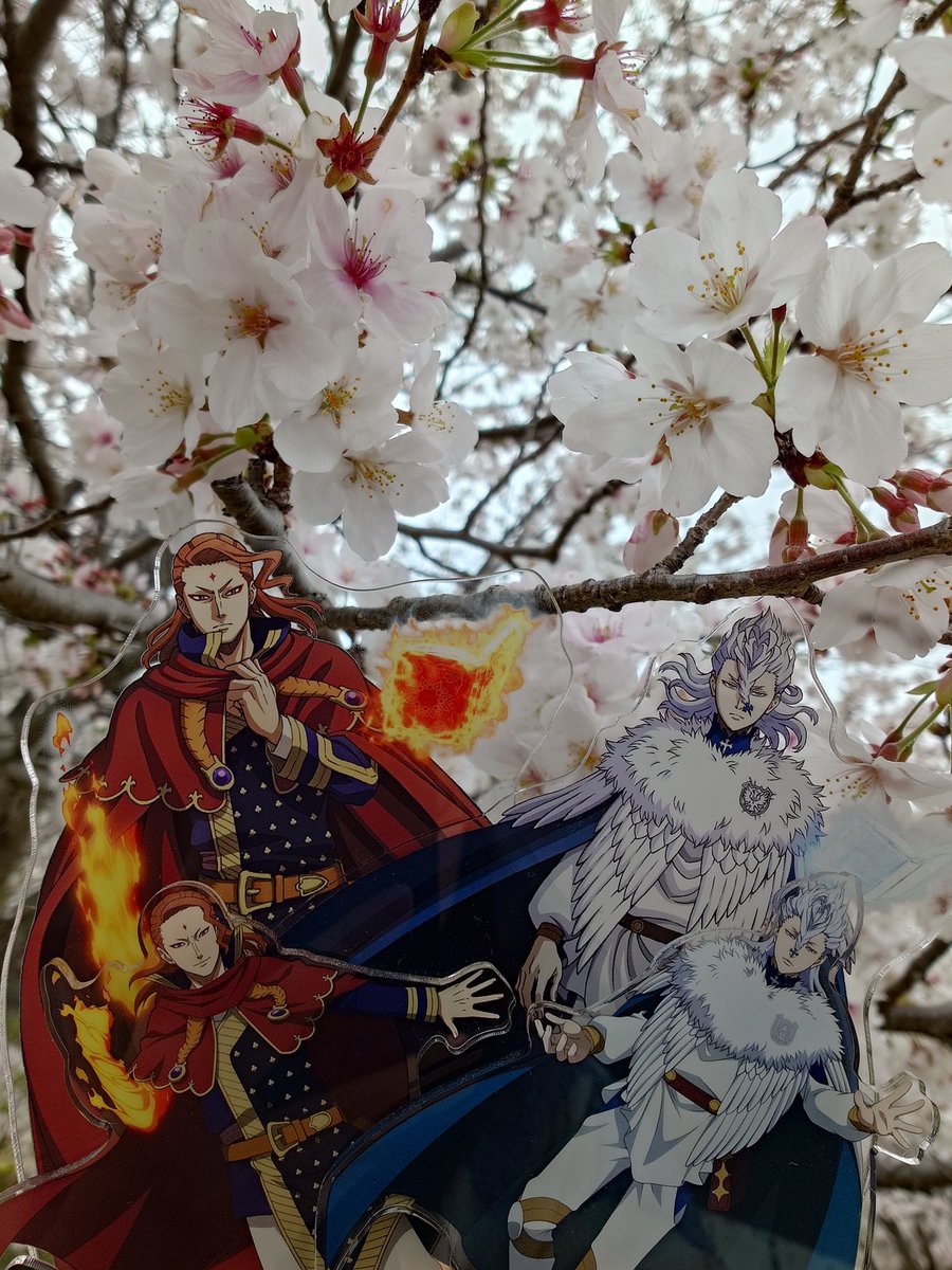 のまな tweet media