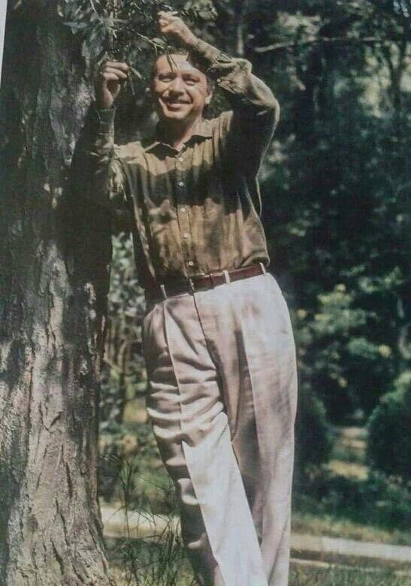 Mehmet Tayyip Altıntaş tweet media