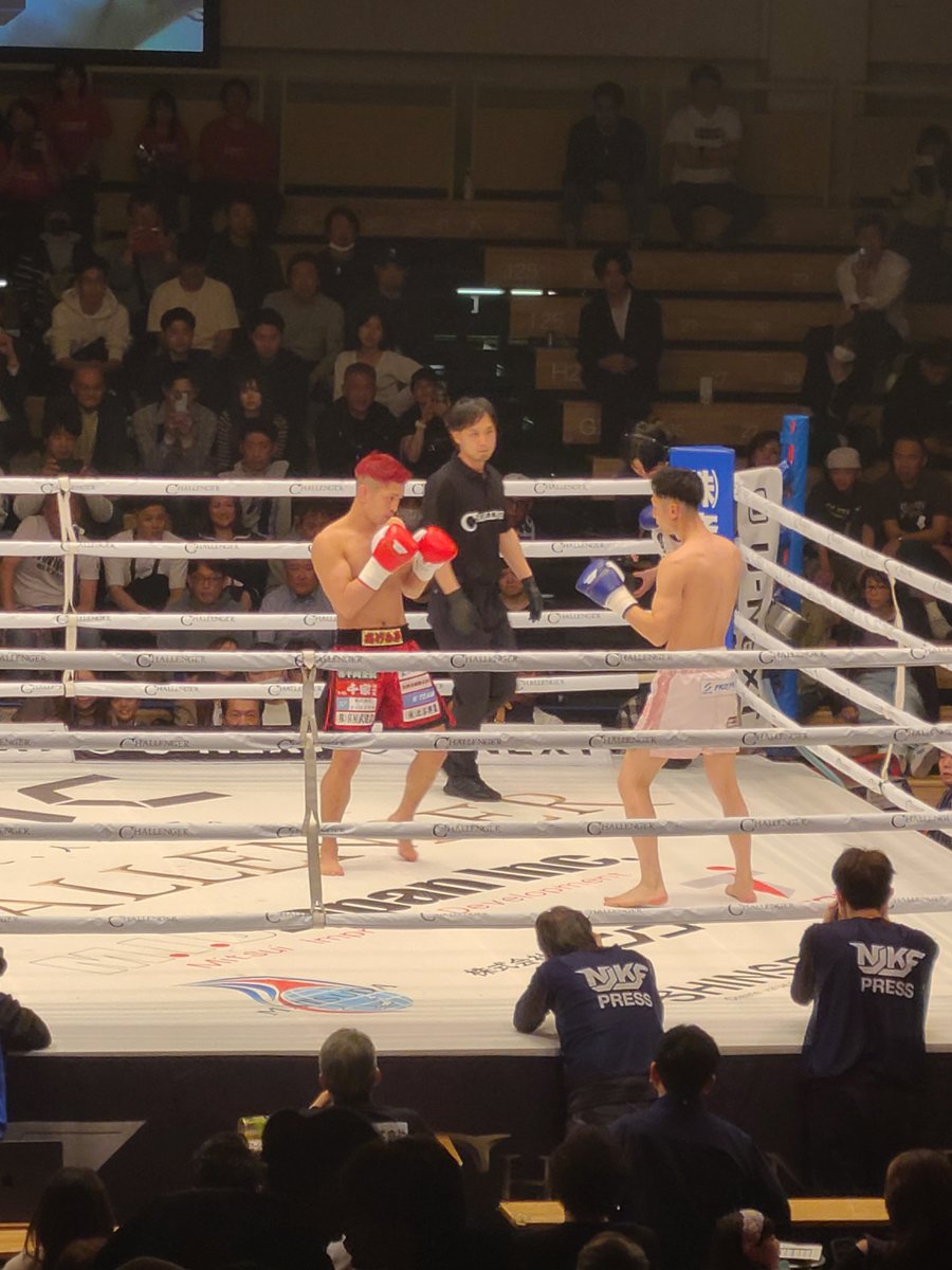 サーバル tweet media