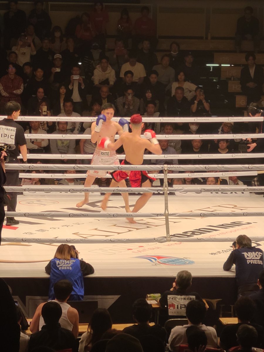 サーバル tweet media