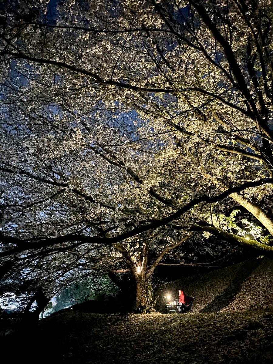 PaaaaaaN3 tweet media