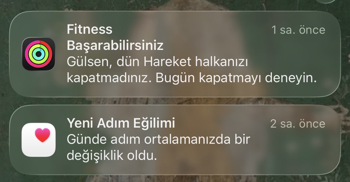 Gülsen tweet media