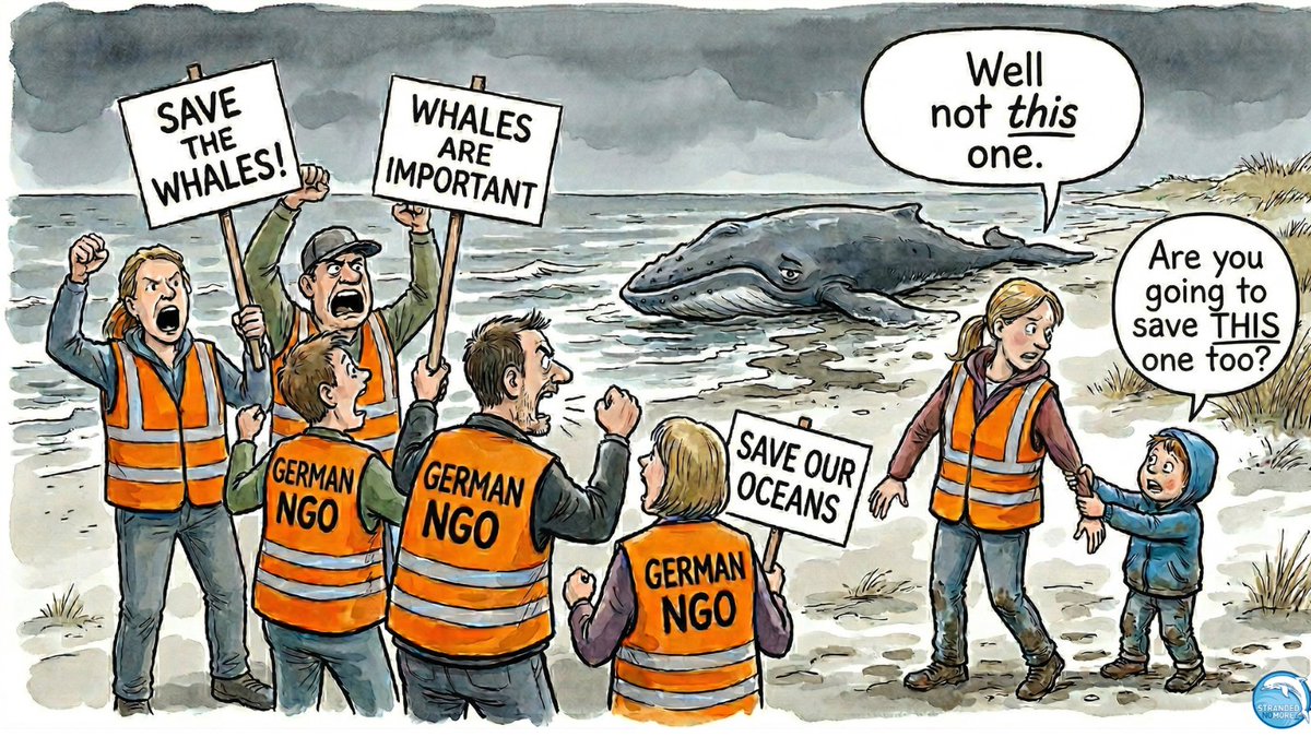 Stranded No More tweet media