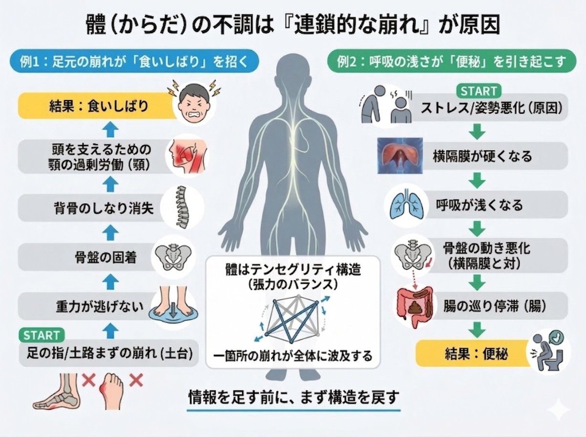 医食同源Lab tweet media