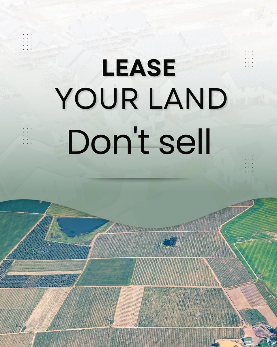 MAQFOS® Shekwonya tweet media