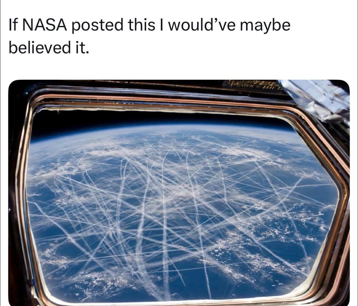 The Danish Patriot 🇩🇰 (@danishthe85157) on Twitter photo 