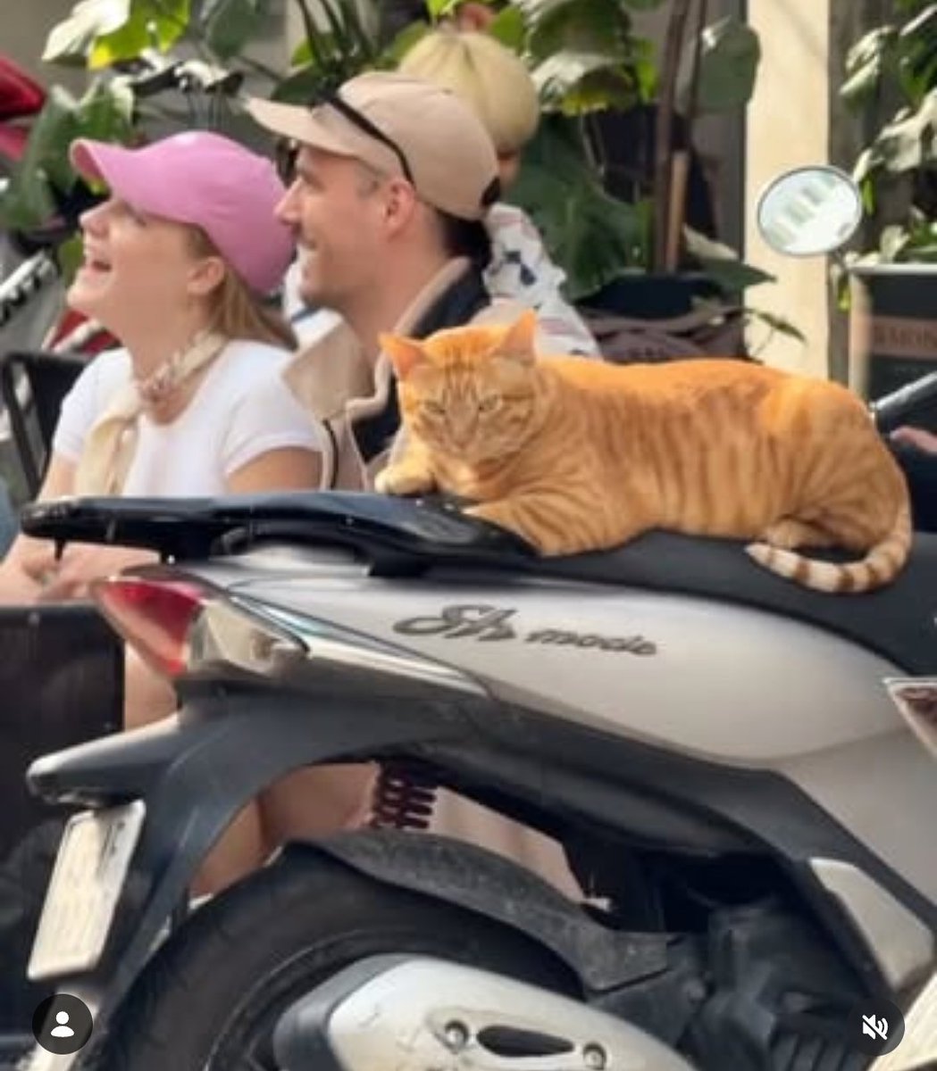 インテル終わってる tweet media