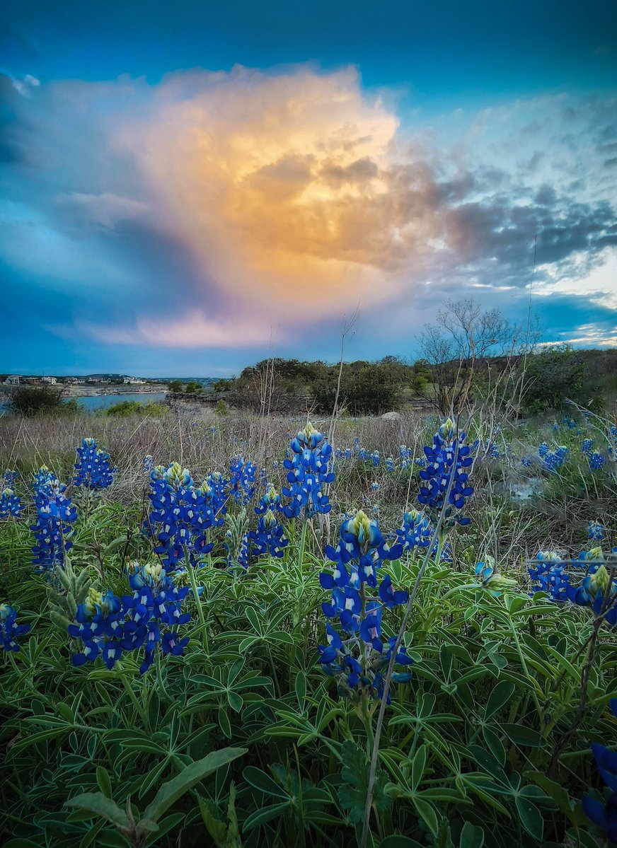 Ken James tweet media