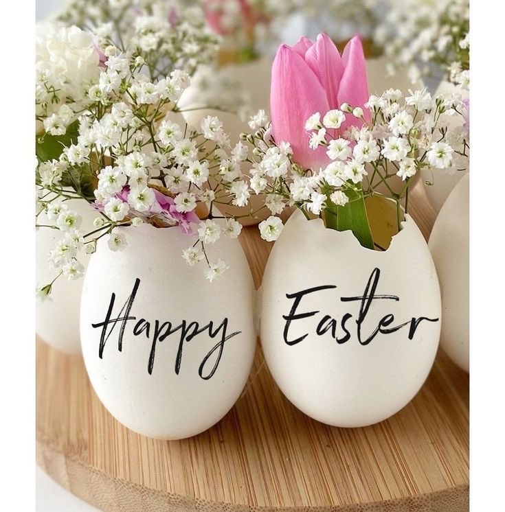 sonya janisse tweet media