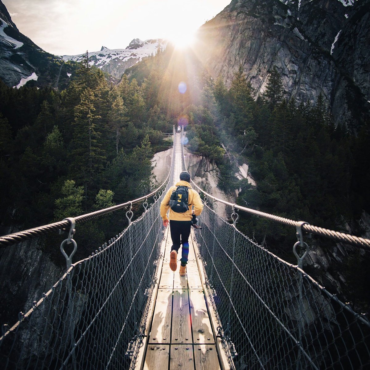 د. همام 🇨🇦🇸🇦 tweet media