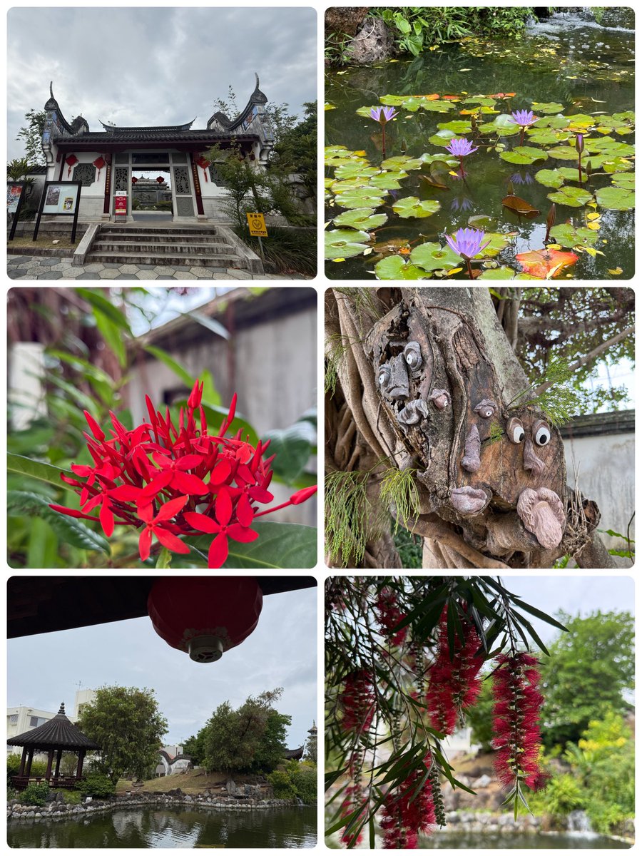 ❃とことこ❃ tweet media