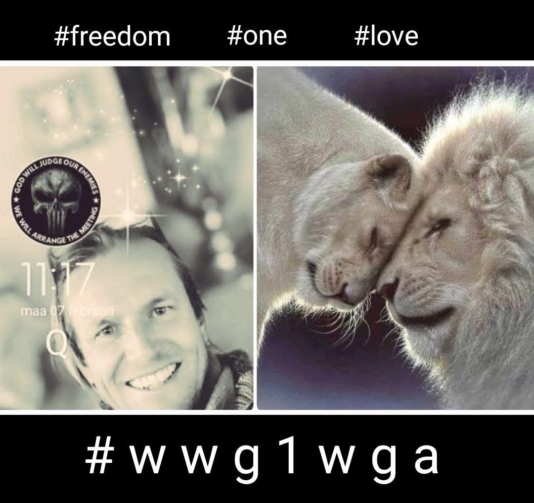 Pim & Ellen tweet media