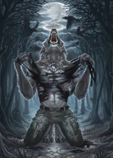 b9🔞 comms open tweet media