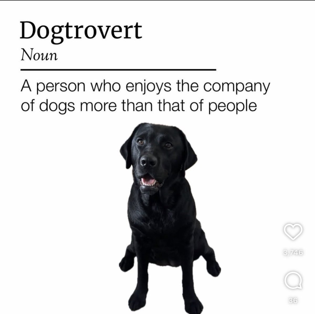 Daniel ShenSmith (BlackBeltBarrister) tweet media