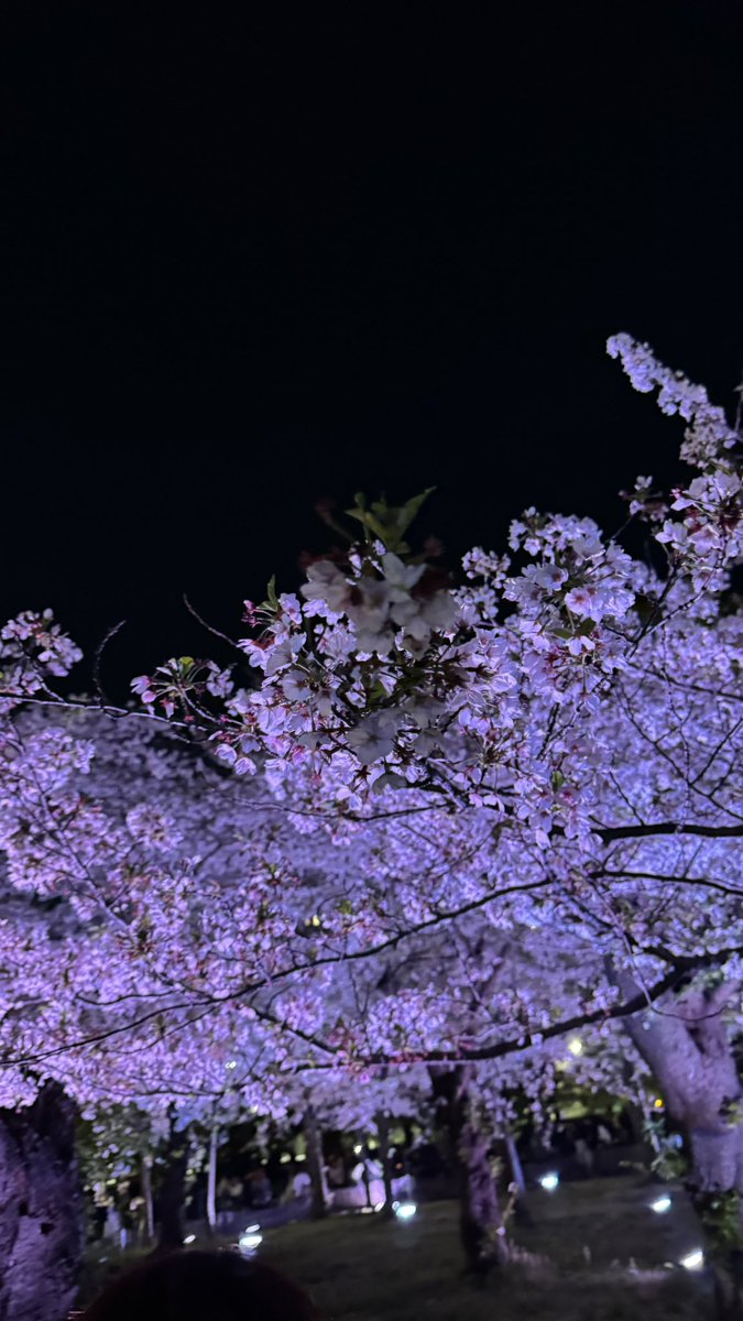 マキ@ホビまる tweet media