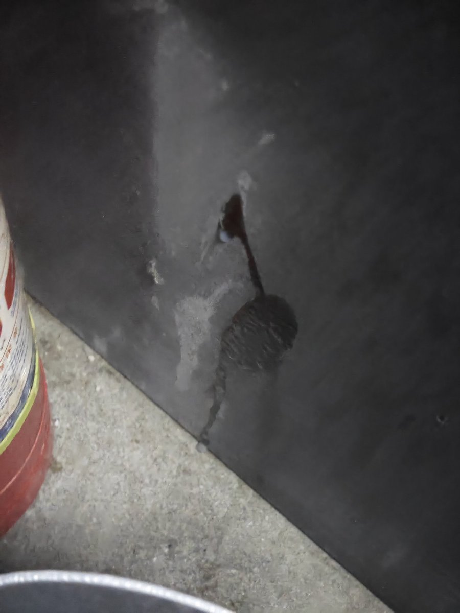 山有扶苏 tweet media