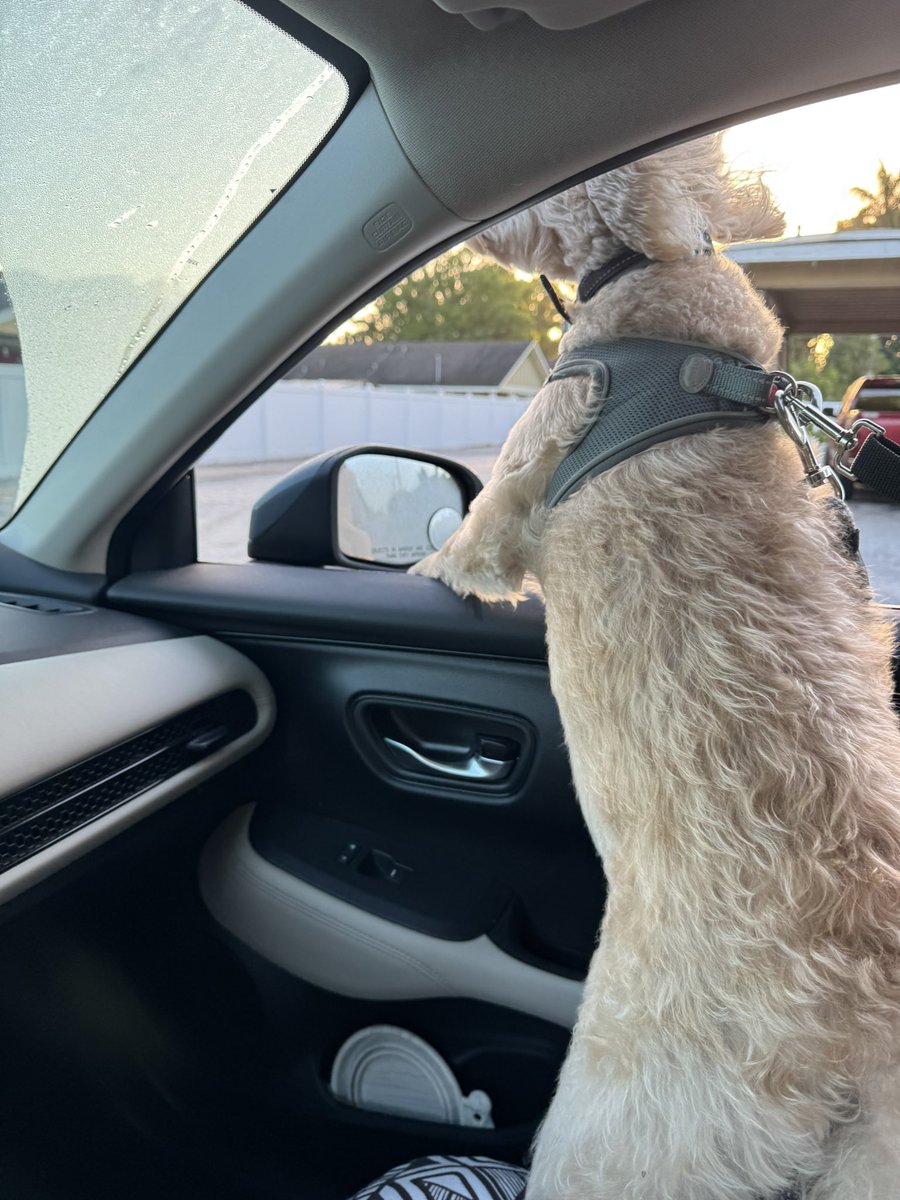 Mike 🚴🏻❄️☕️🌊⚛️ 💙🇺🇸🇩🇪 tweet media