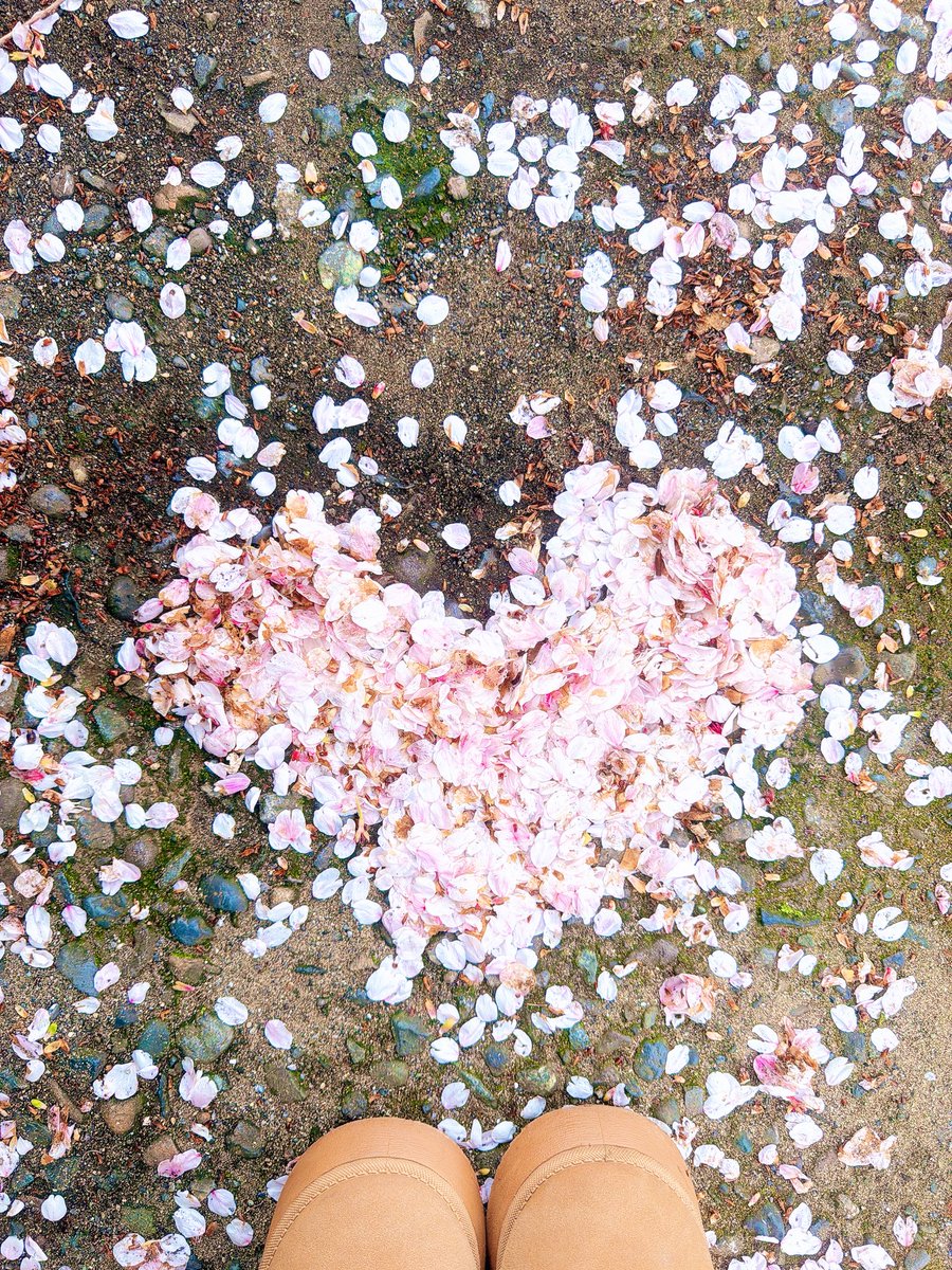 타에냥🎀🐾 tweet media