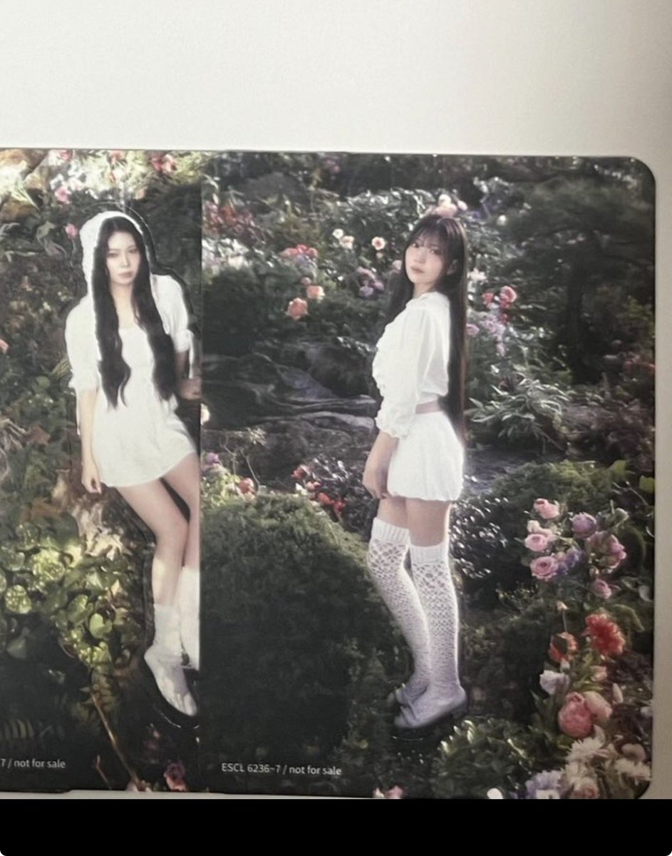 トリノ💖 tweet media