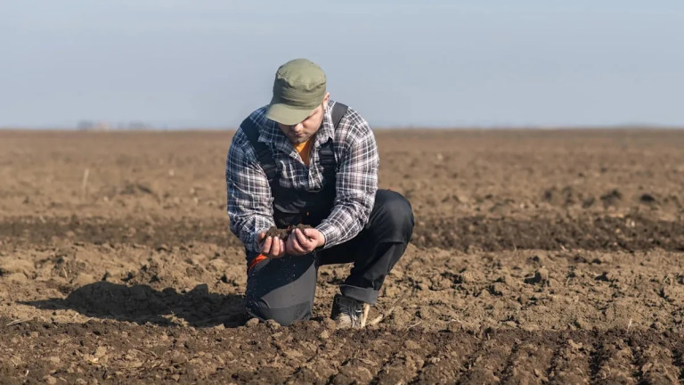 DenaZificato tweet media