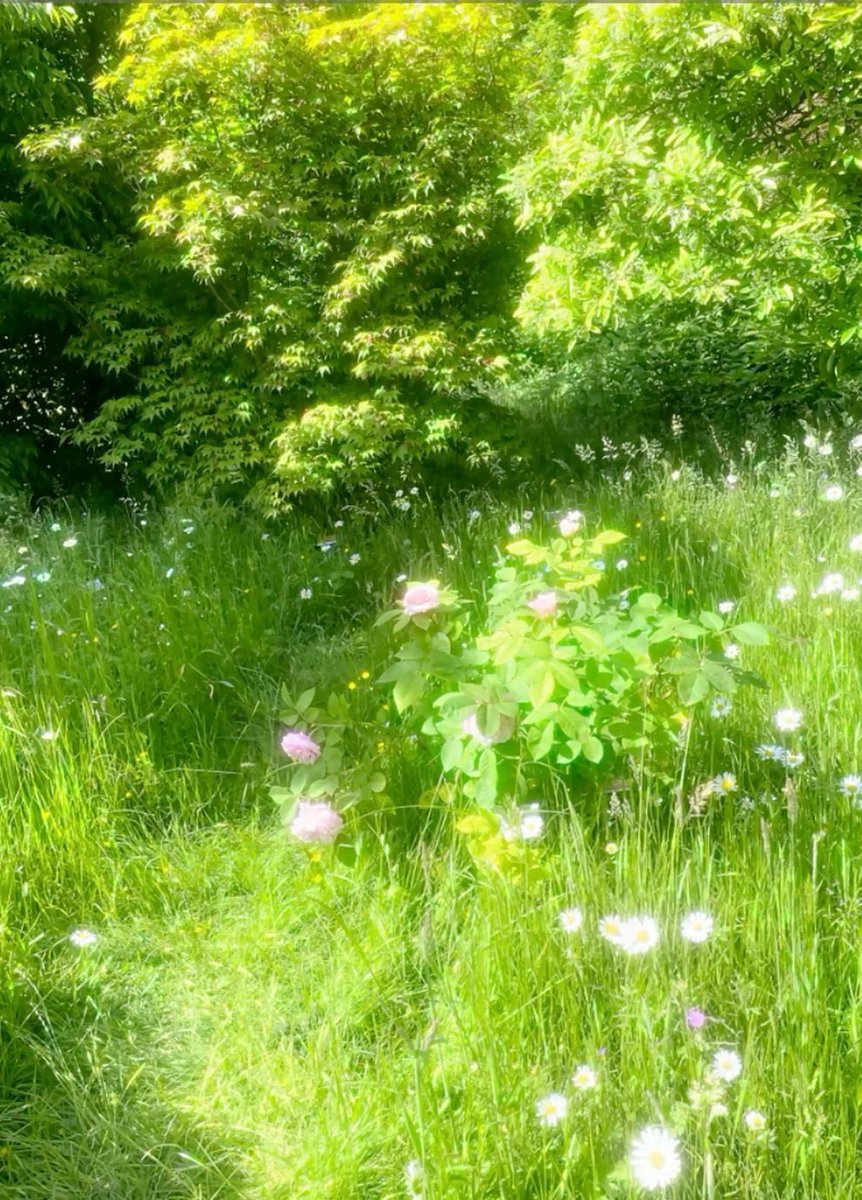 landspace tweet media