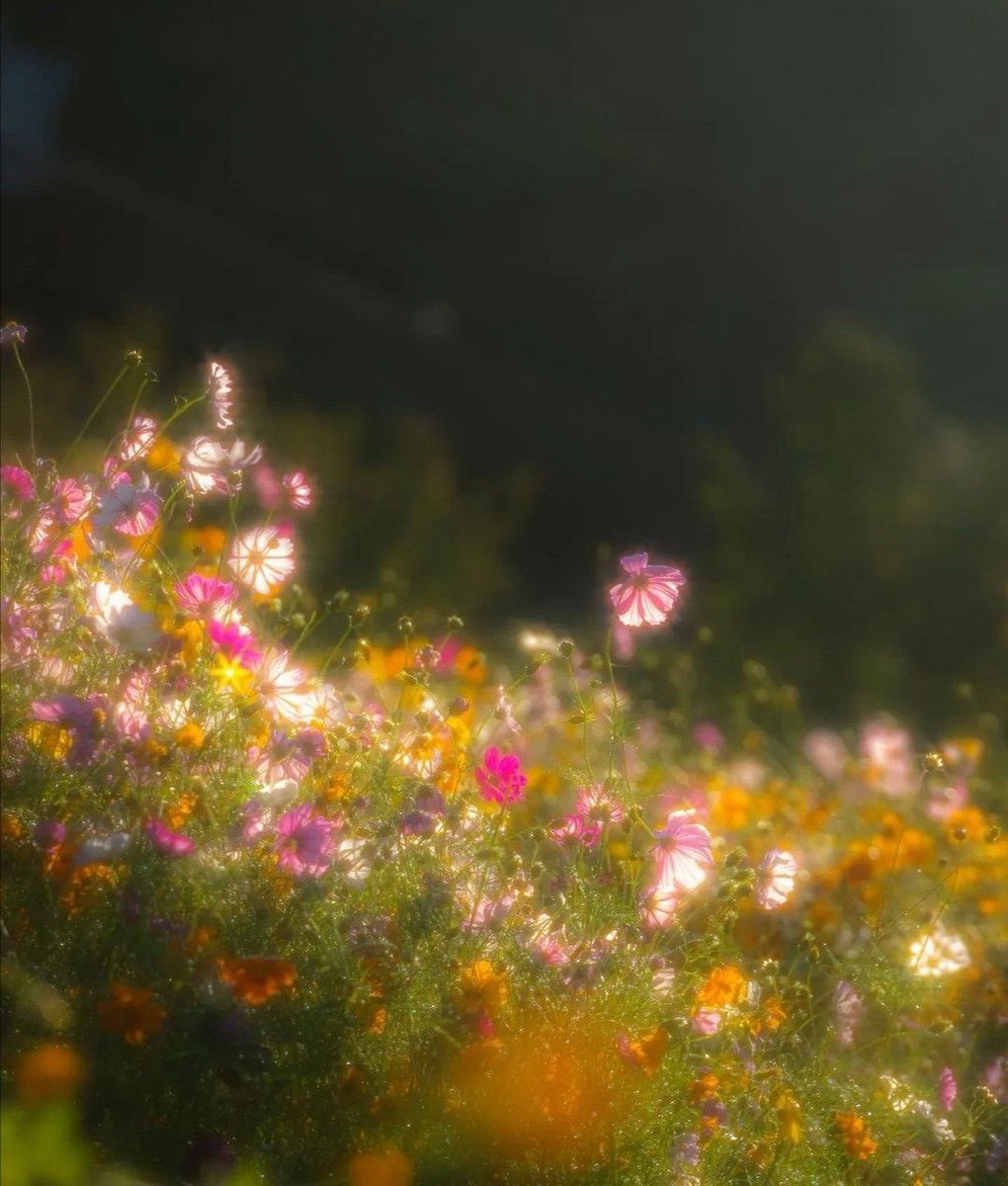 landspace tweet media