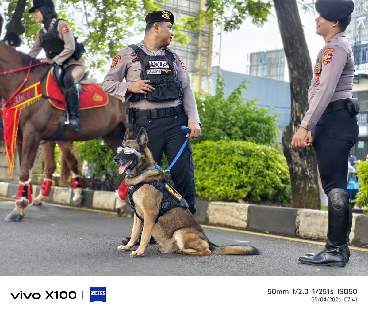 Roy Haryadi tweet media