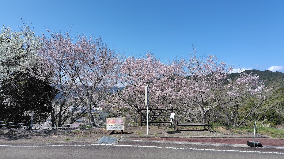 【高知県室戸市】道の駅キラメッセ室戸 tweet media