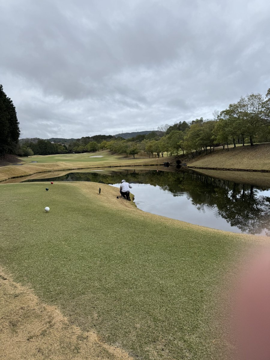 yaito@豆腐メンタル村人A tweet media