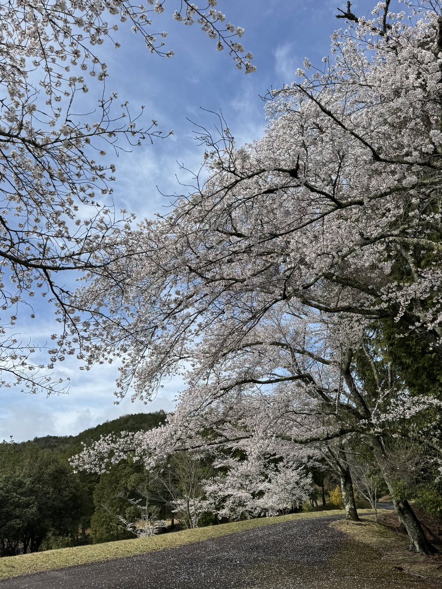 yaito@豆腐メンタル村人A tweet media