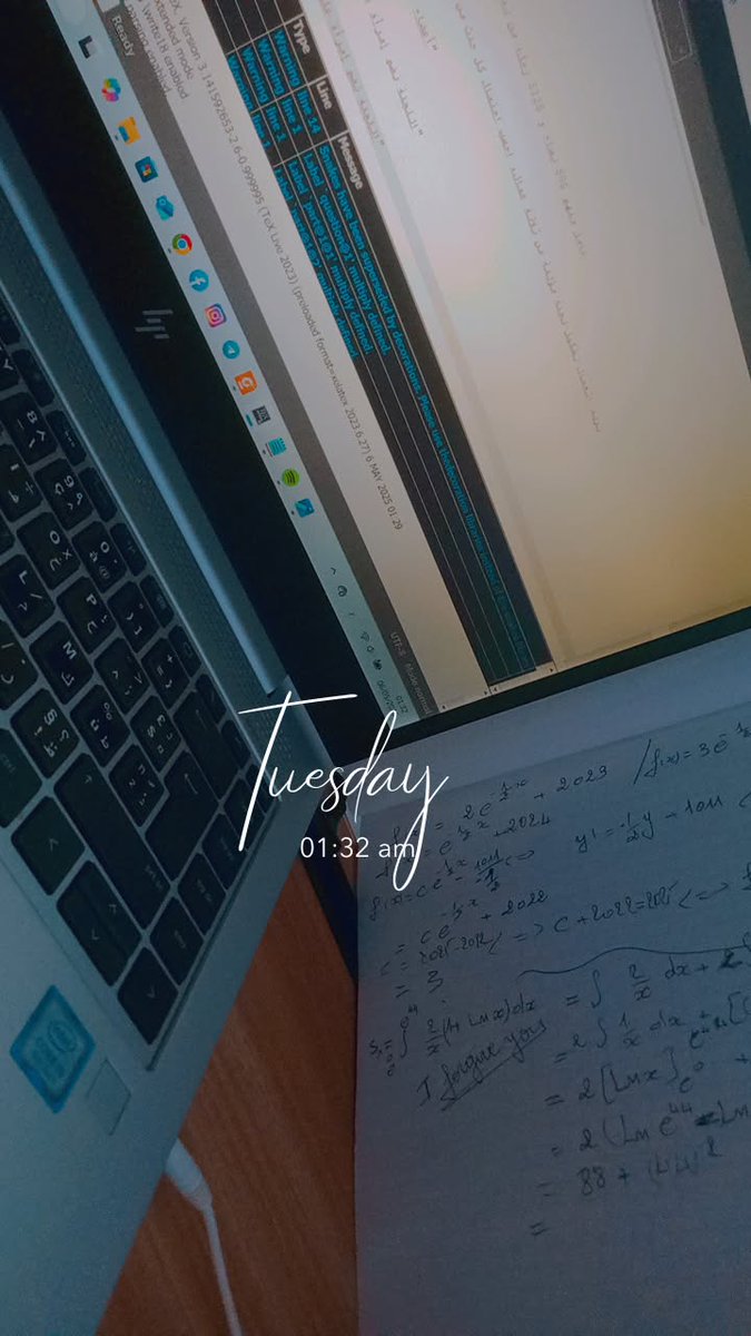 Lina 🌷 tweet media