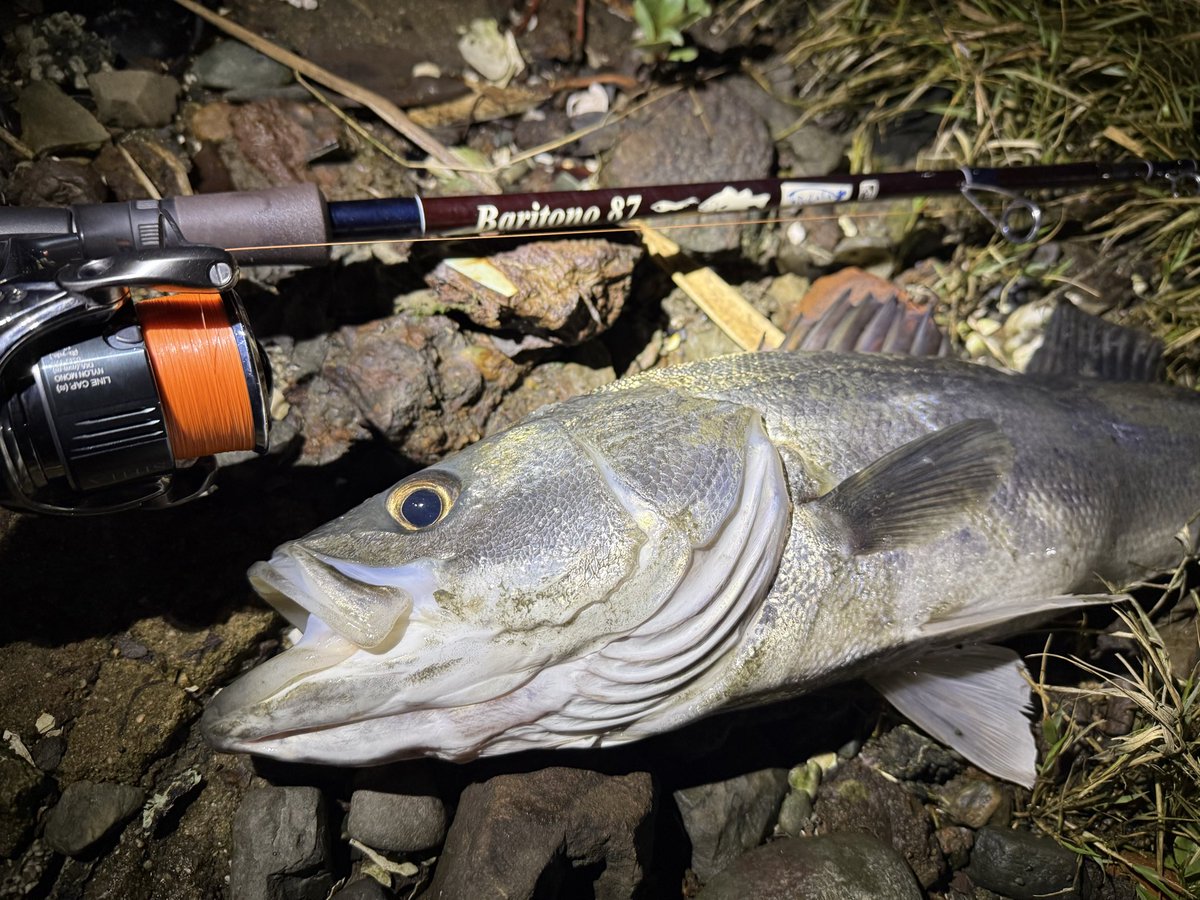 山先亮一【BariCraft】 tweet media