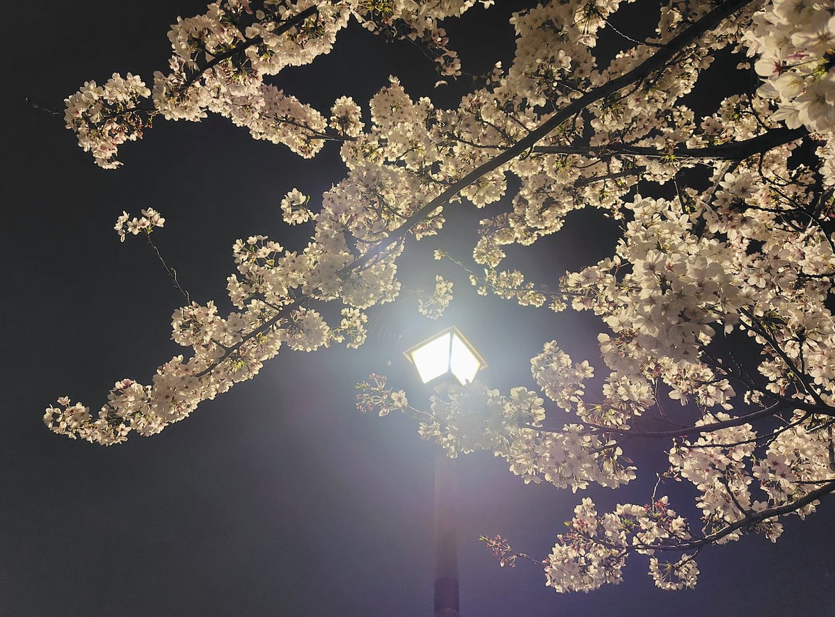 うみんちゅβ版@オストメイト tweet media