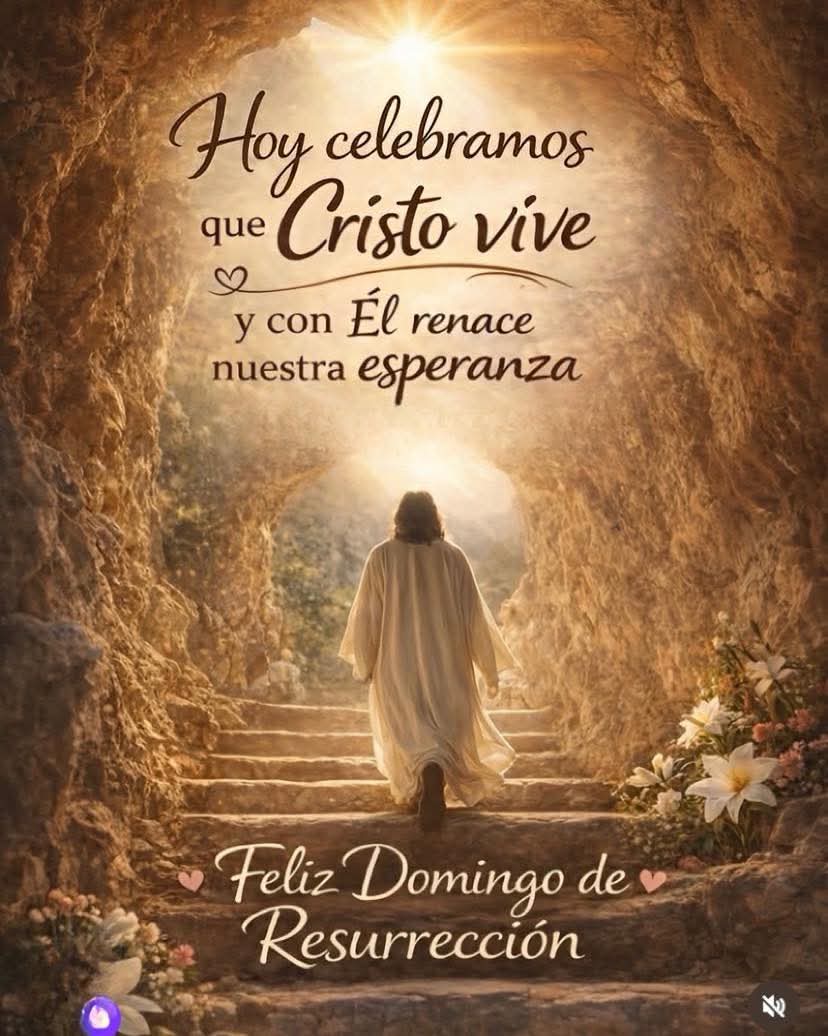 Un Católico Alegre tweet media