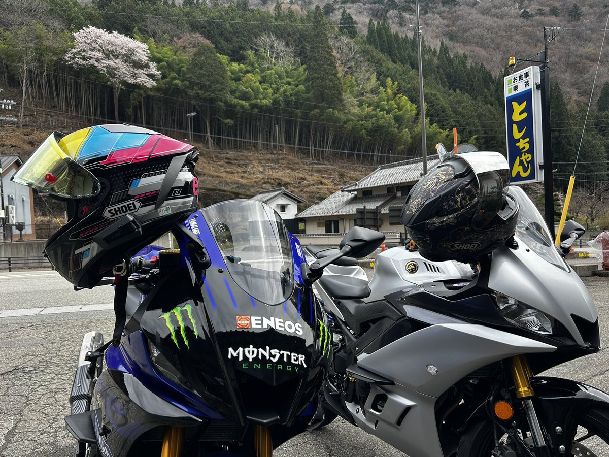 せーら tweet media