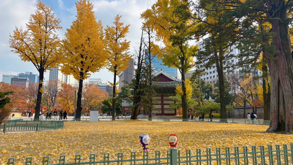 メアぬ tweet media