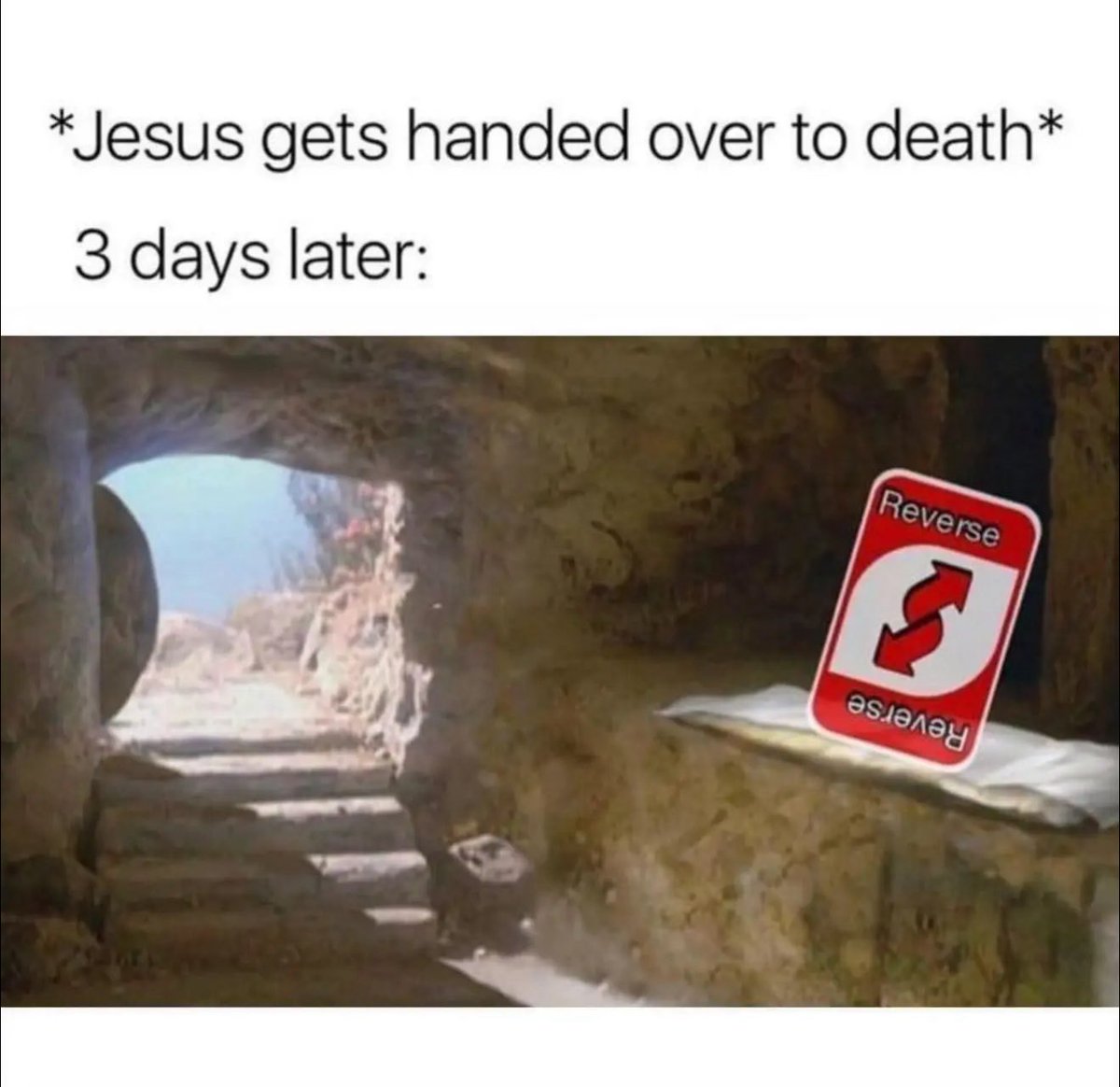 Mostly Peaceful Memes tweet media