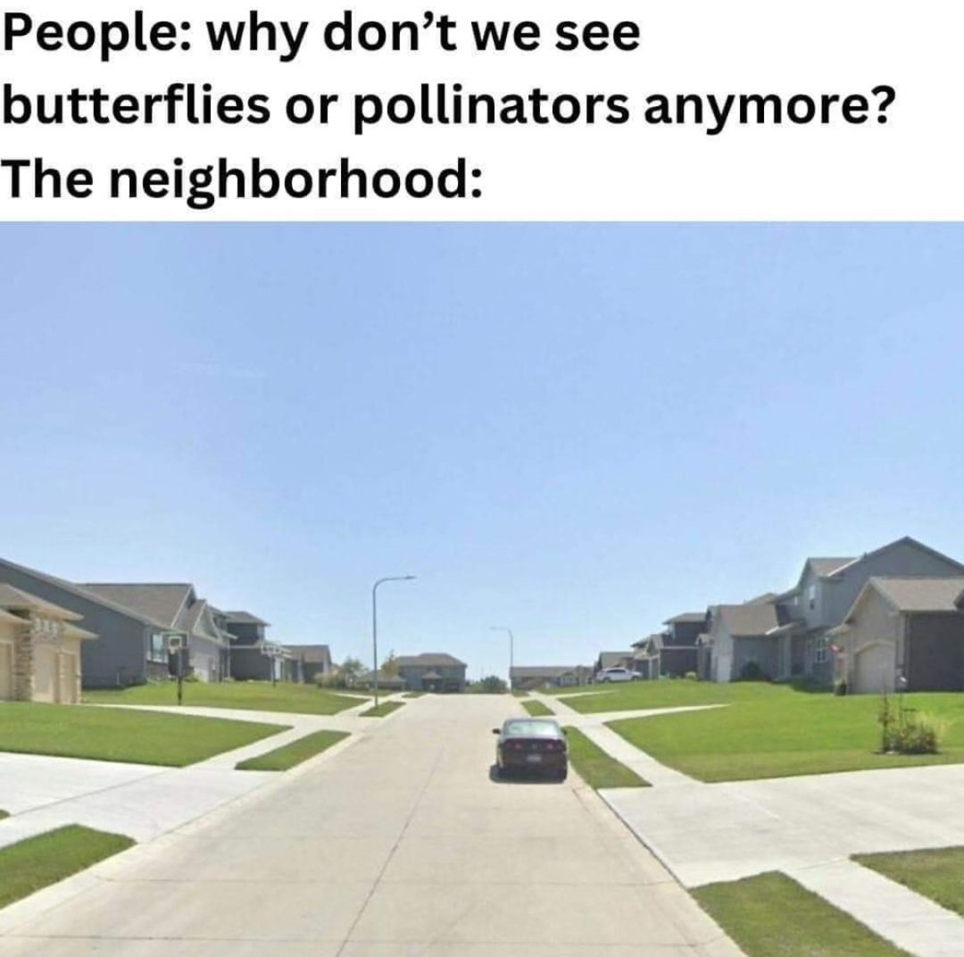 AnAmerican Homestead tweet media