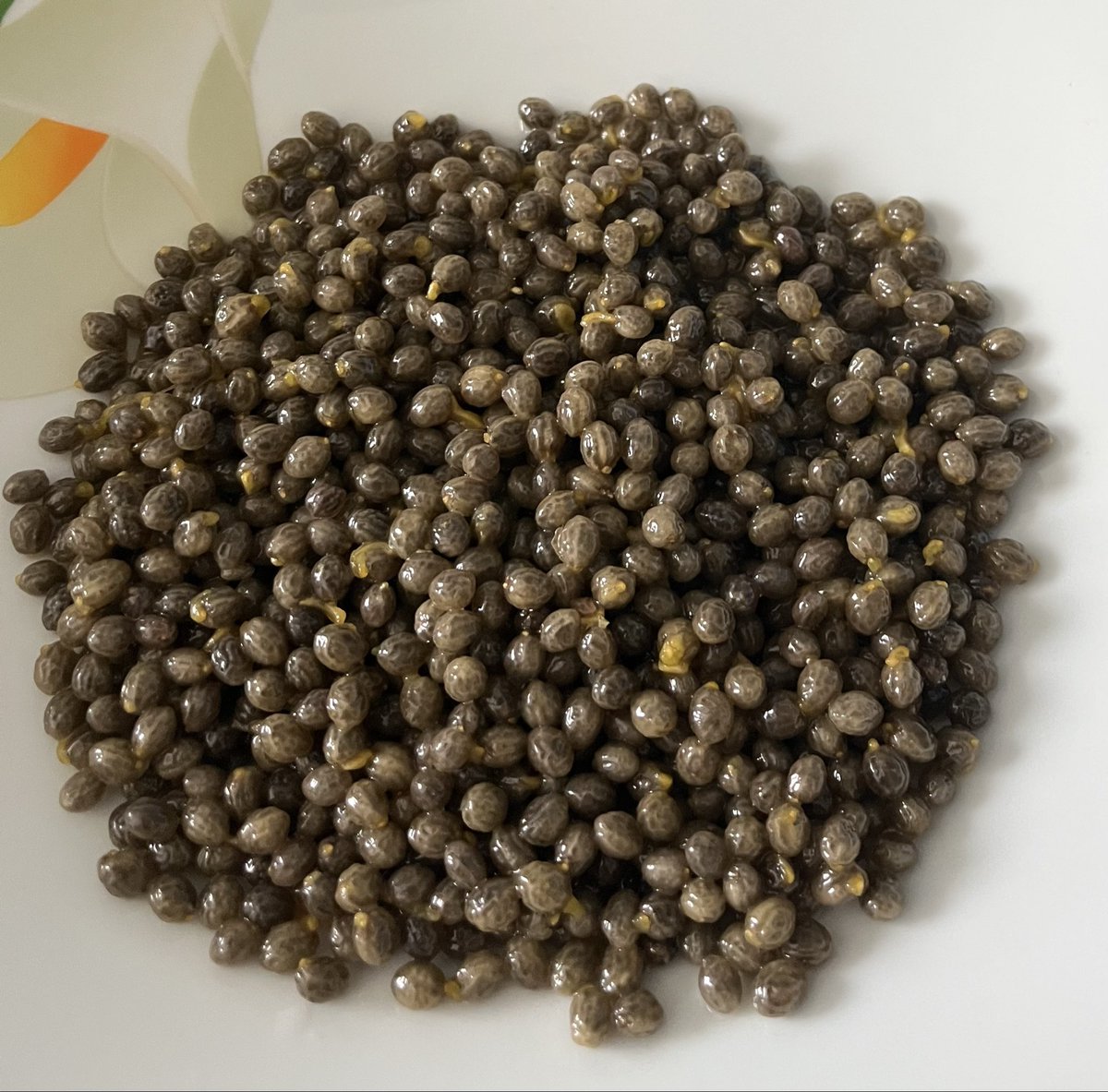 ЛизиСтрата tweet media