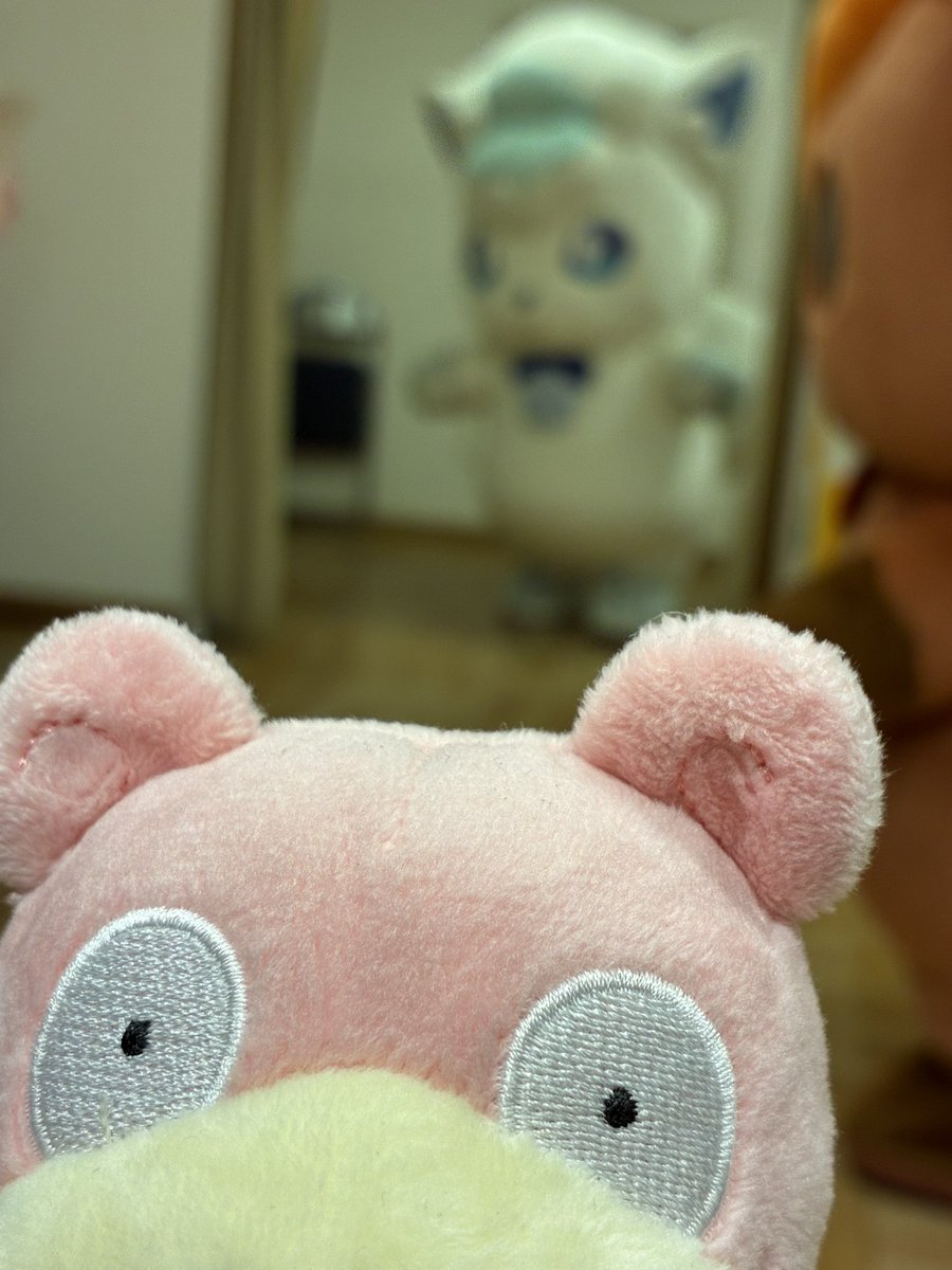 とっちん㊗️ポケモン30周年やぁん tweet media