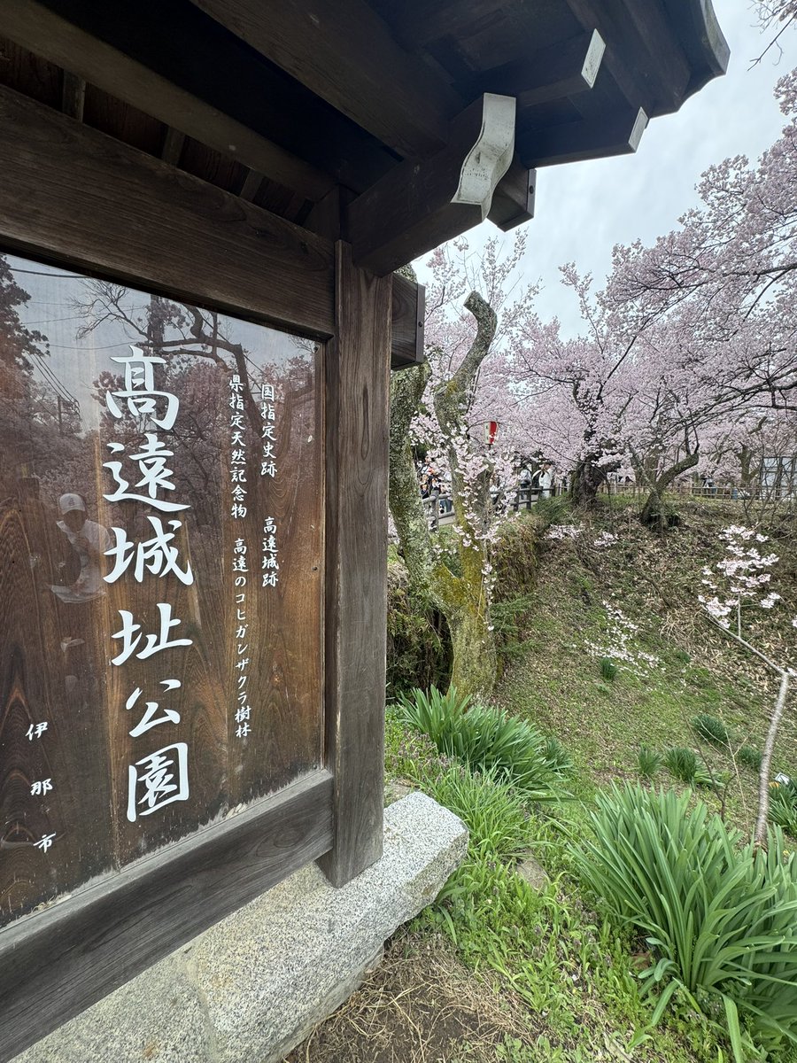 elmo5586's tweet photo. 🌸高遠城址公園へ花見🌸
今年はお昼に来てみた！
思ったより空いててまったりできた✨ https://t.co/5qJ0Ll3oC9