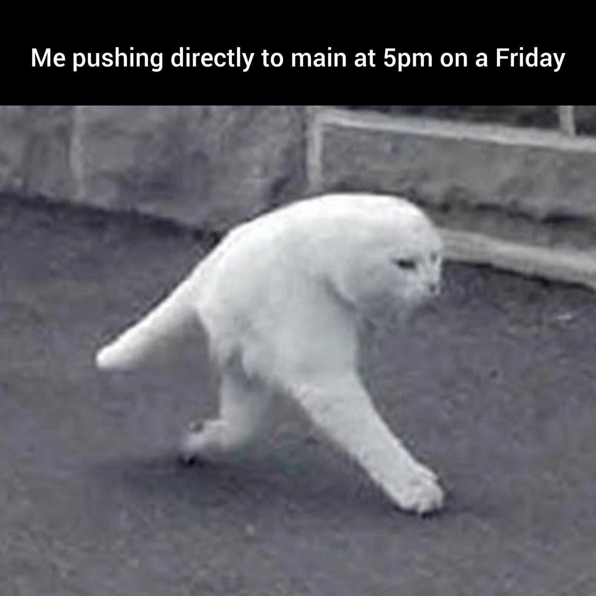 pvs_studio's tweet image. Friday before release...

#meme #programminghumor #developer