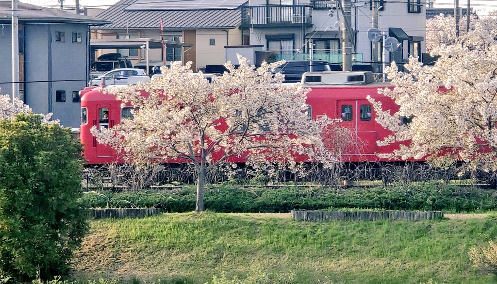 ちりりん💛 tweet media