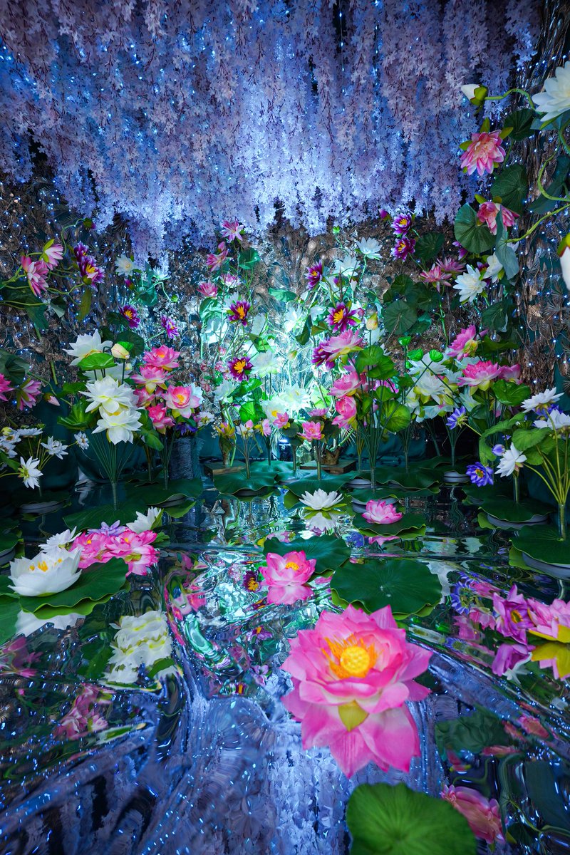 スタジオこむや tweet media