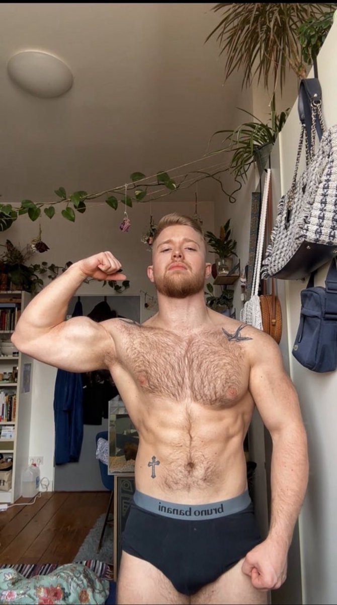 TheGeneticAlpha tweet media