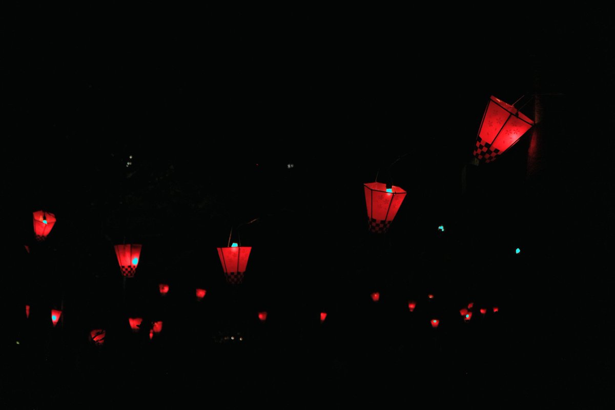 烏龍@公開垢（2026/1〜4月活動休止） tweet media