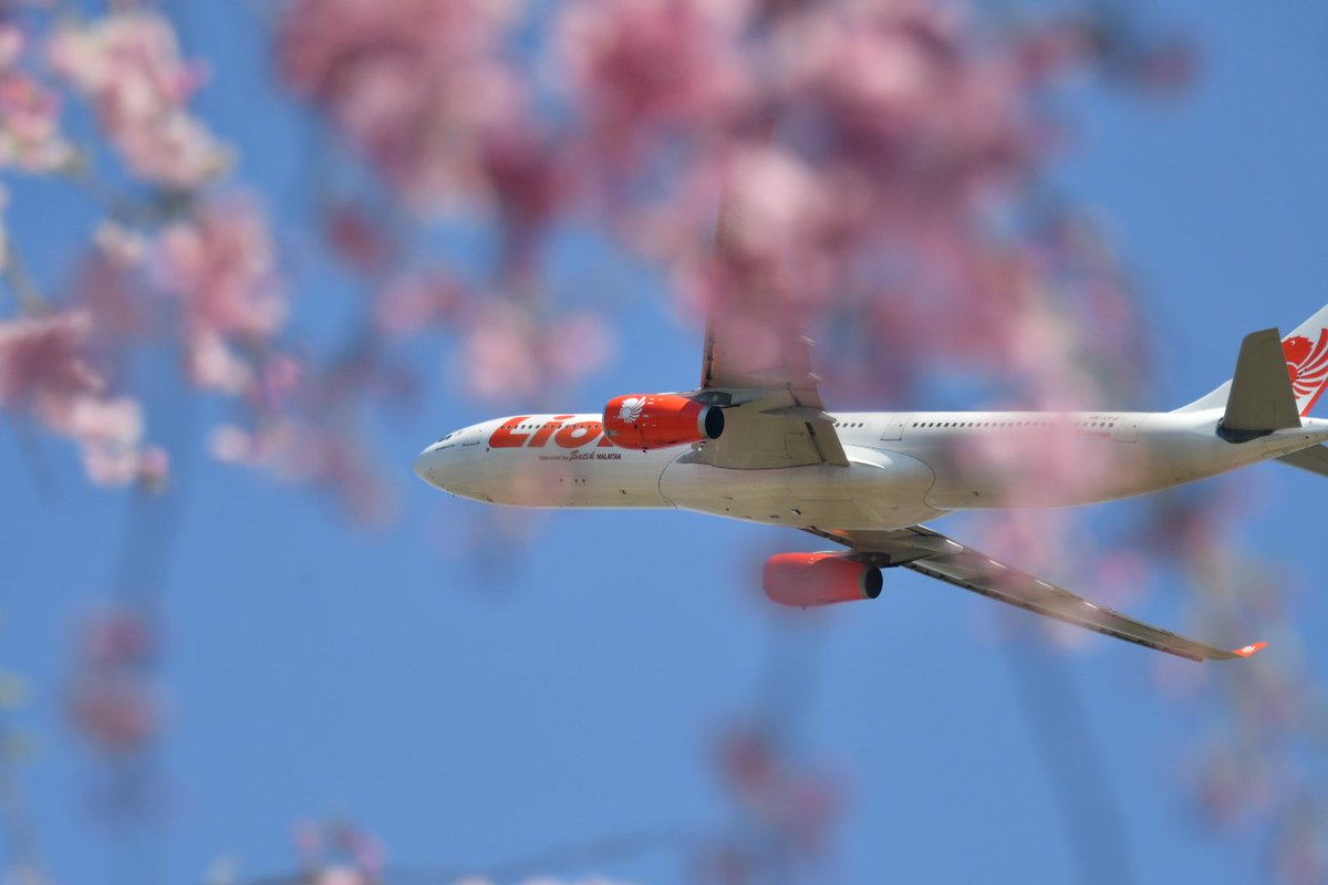 める*⋆✈︎ tweet media